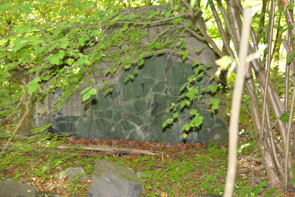 Remains Bunker 344