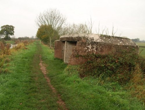 Bunker FW3/24 Hedging