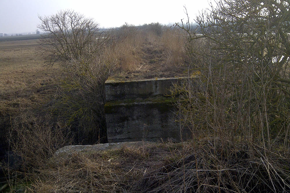 Remains Railway Bridge Kruszwica