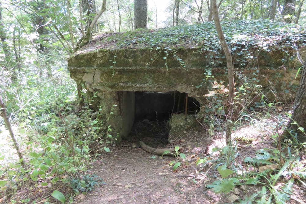 Bunker Butte de Froidmont Champey-sur-Mosselle