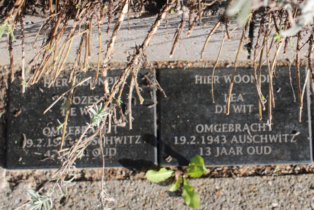 Memorial Stones Zutphensestraat 189 #2