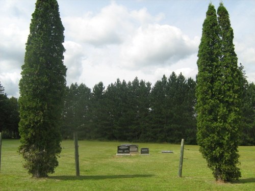 Oorlogsgraf van het Gemenebest Wittenburg Cemetery
