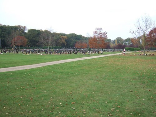 Commonwealth War Grave Gaywood Cemetery