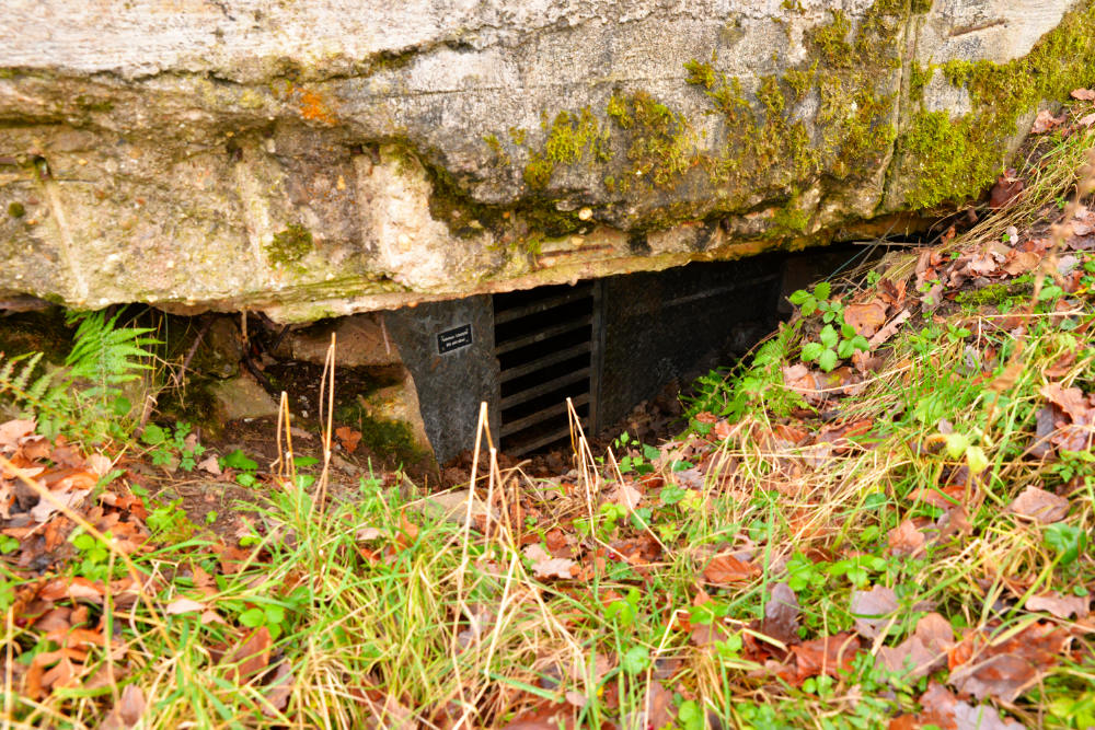 Remains Bunker Schleiden