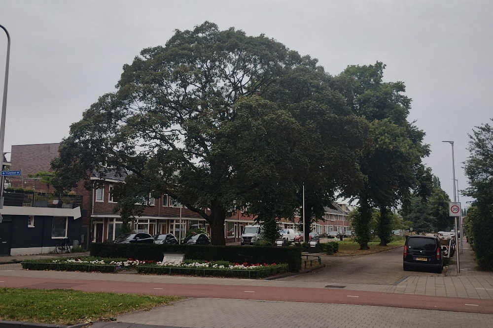 Liberty Tree Utrecht #1