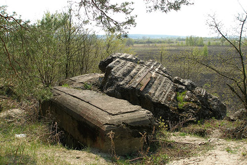 Stalinlinie - Restant Bunker Nr. 577