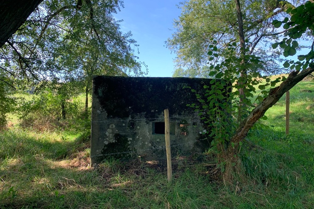 Bunker E - Position Avancée Hombourg #4