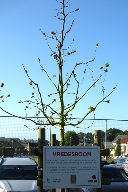 Vredesboom Herzele #3