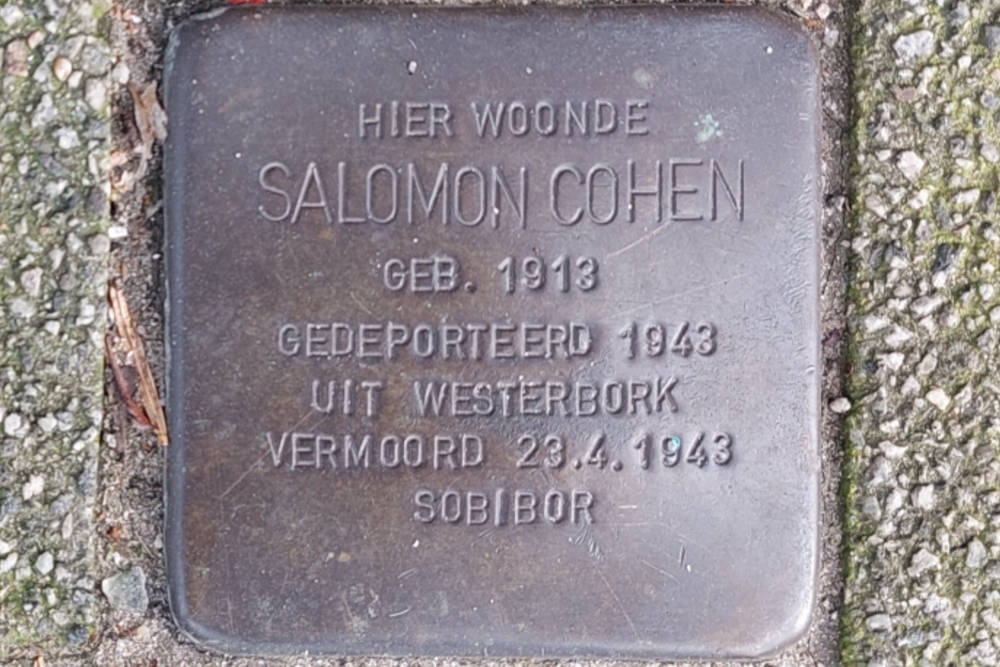 Stolpersteine Schieweg 85b #3