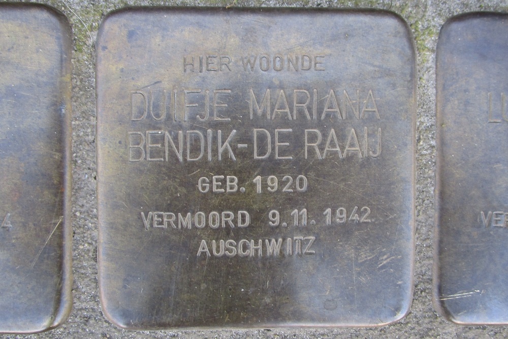 Stolpersteine Koningsweg 52 #3