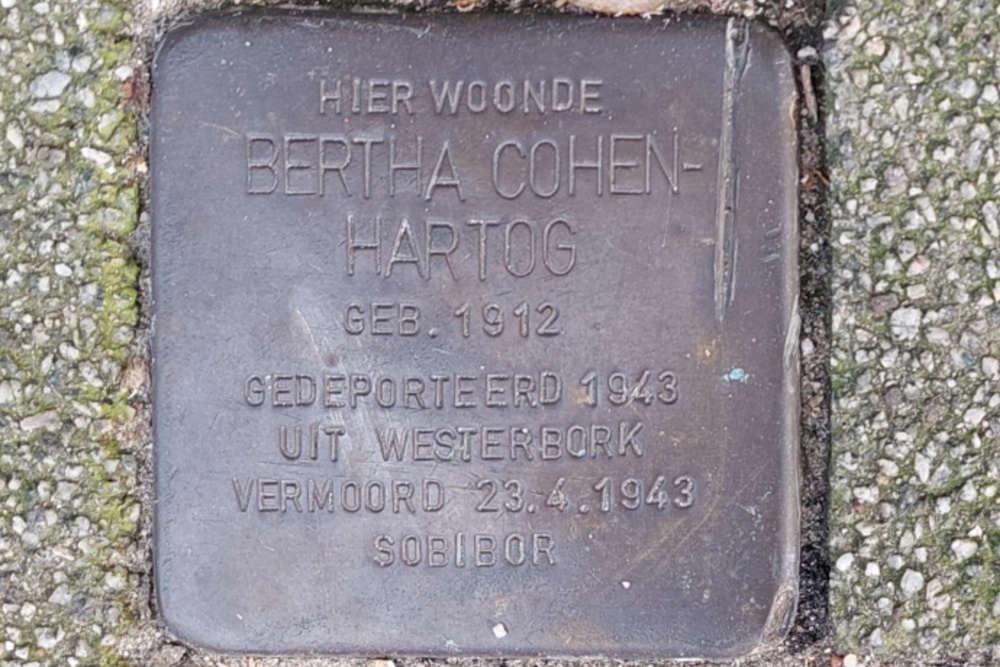 Stolpersteine Schieweg 85b #2