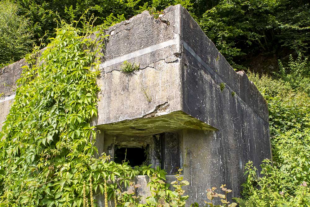 Maginotlinie - Bunker Les Hautes-Rivires #3