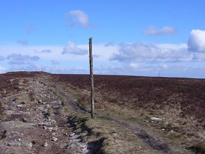 Anti-landing Stakes Dartmoor