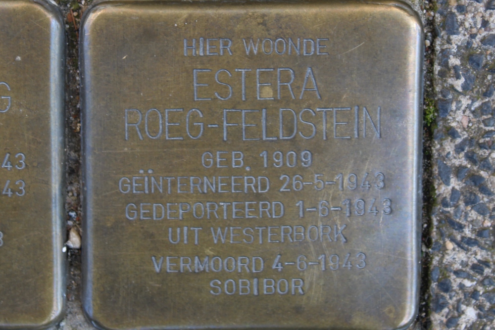 Stolpersteine Plantage Middenlaan 25 #3