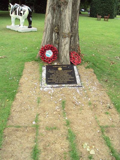 Normandy Memorial Tree