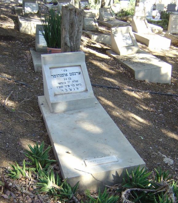 Commonwealth War Grave Tel Yosef Cemetery