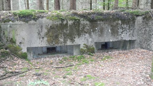 Maginot Line - Blockhaus Erbsenthal 2