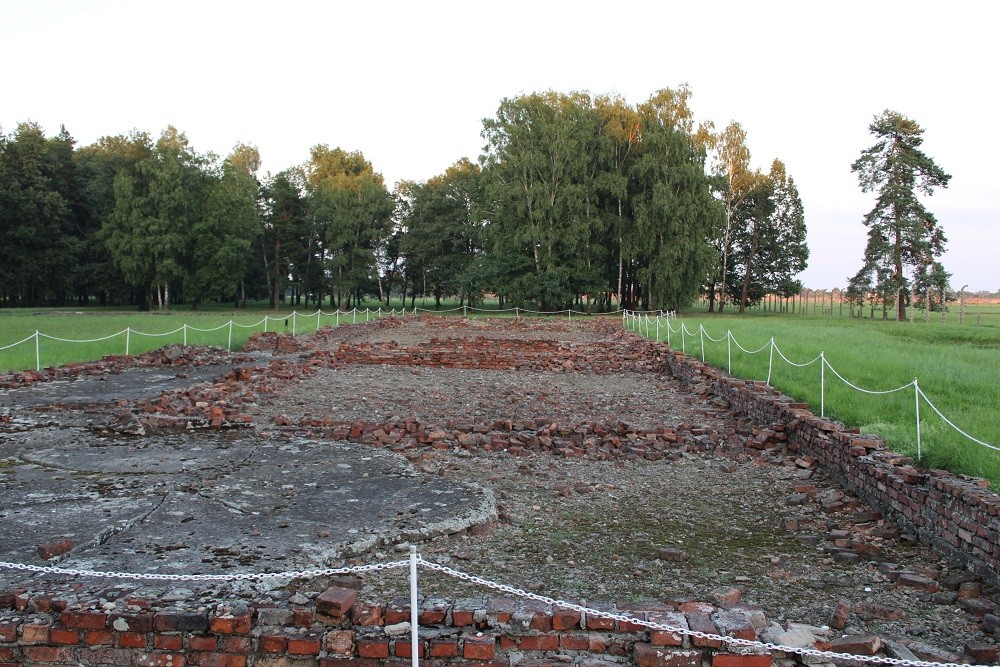 Remains of Gas Chamber 4 Auschwitz II (Birkenau)