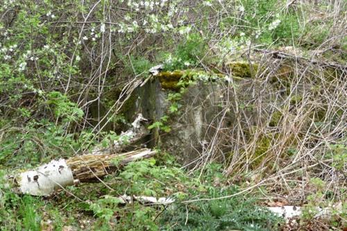 Demolished Pillbox Propsteier Wald