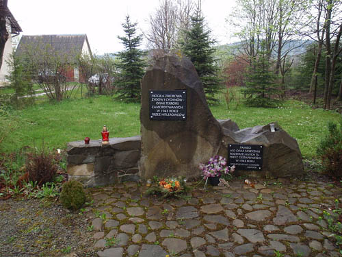 Mass Grave Victims National Socialism Lutowiska