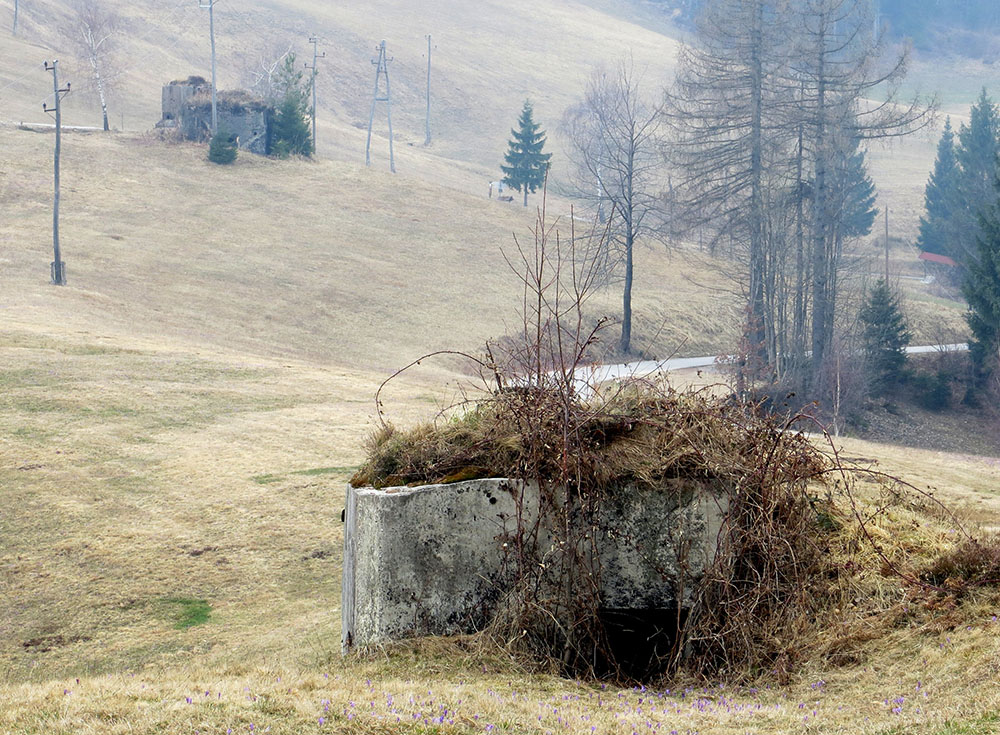 Rupniklinie - MG-bunker