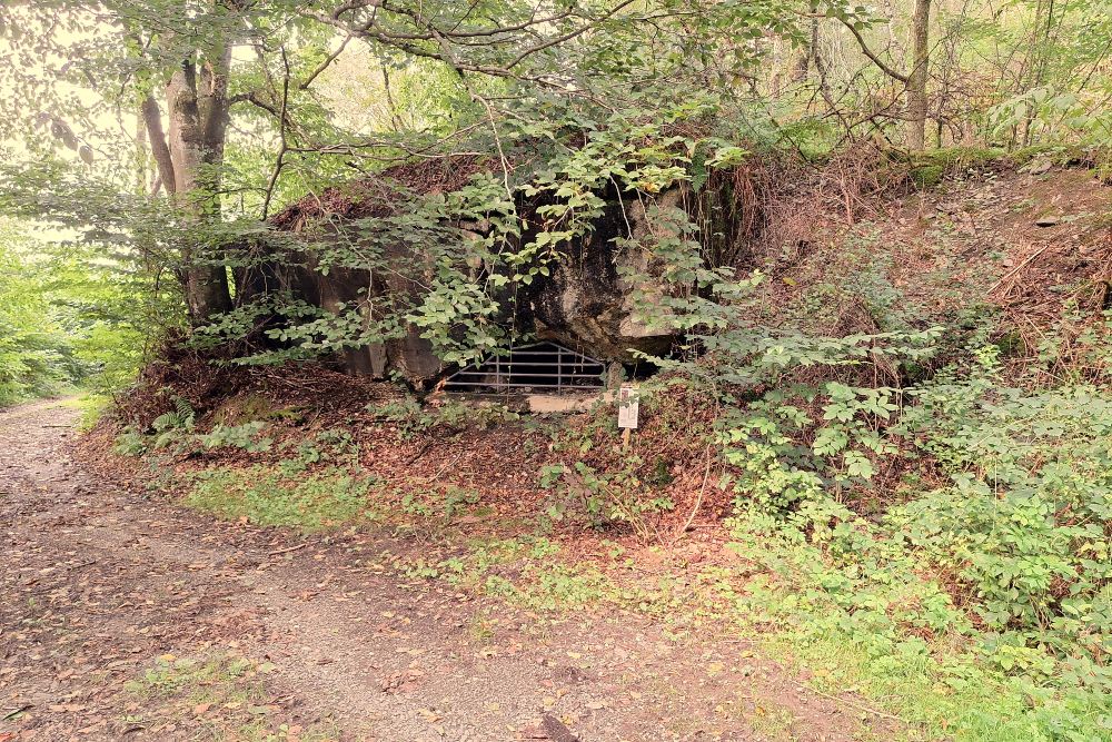 Duitse Bunker WH 317 Dasburg