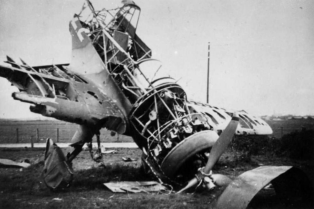Crash Site Fokker D-XXI 0222