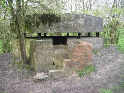 Bunker Box