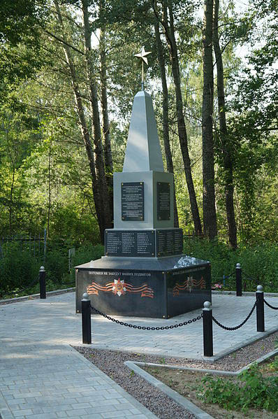 Sovjet Oorlogsgraven Chulkovskoe Begraafplaats