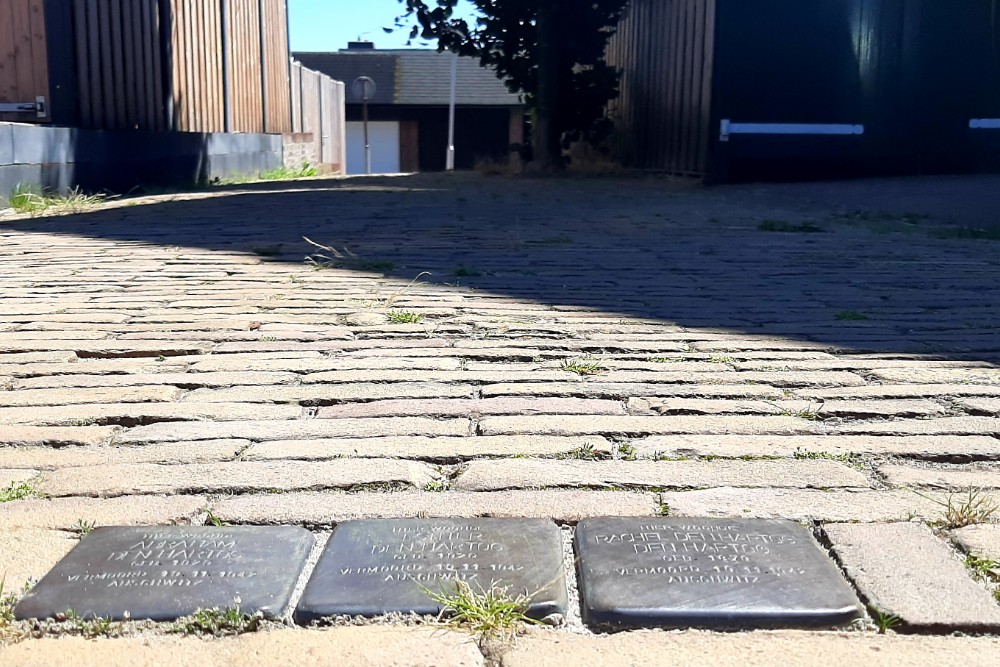 Stolpersteine Lauwers 8 #2