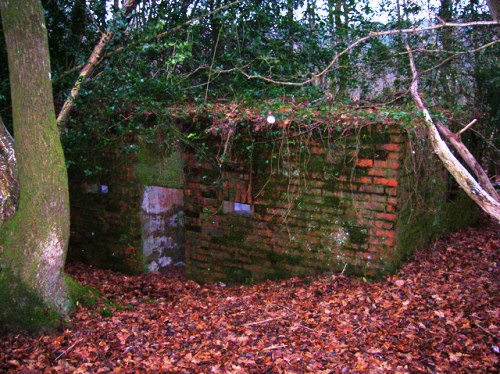 Bunker FW3/24 Boars Head