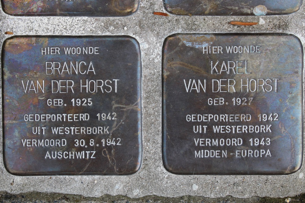 Stolpersteine Professor Spronckpark 4 #3