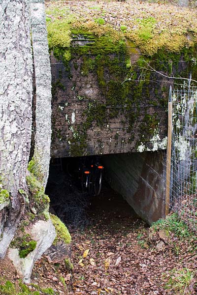 Salpa Line - Bunker Virohlati #1