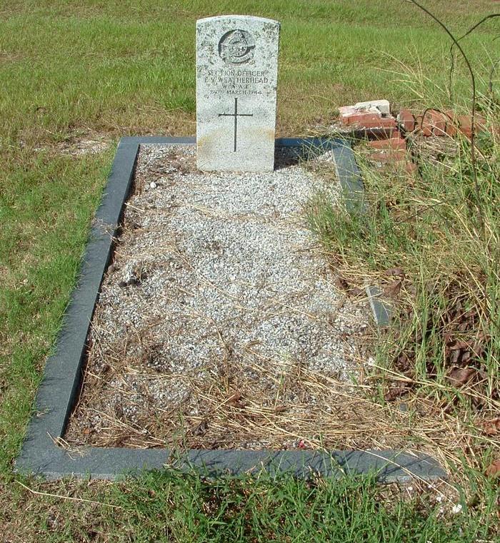 Commonwealth War Grave Palmetto Cemetery