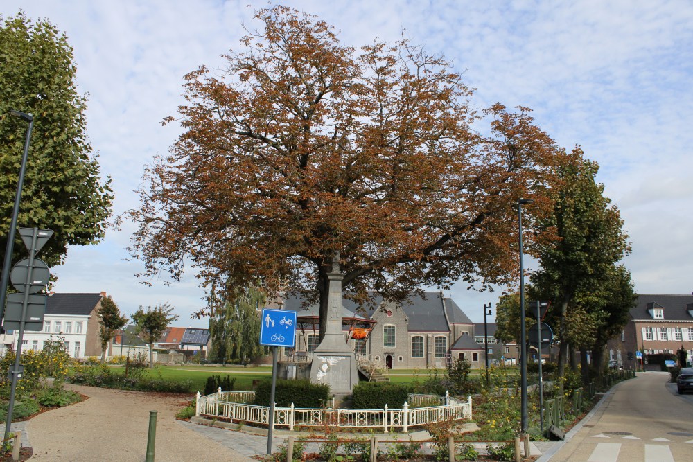 War Memorial and Peace Tree Oostakker