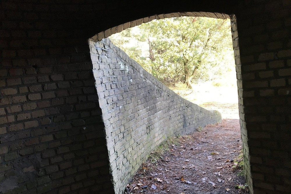 Tabor Dome Bergen Aan Zee #5