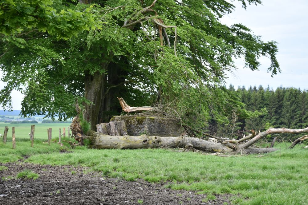 Concrete Defense Structures Devze Line Villeroux #5