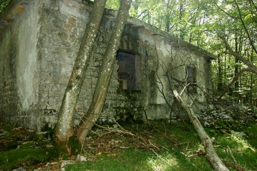 Alpine Wall - Bunker Trstenik