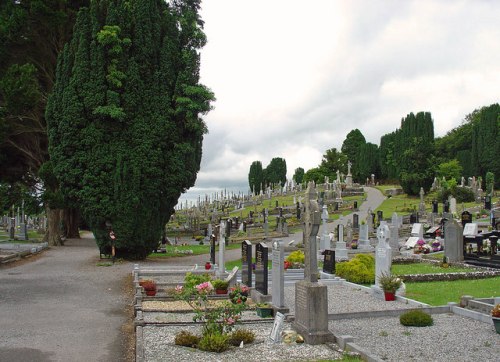 Commonwealth War Graves Clonoghill Cemetery