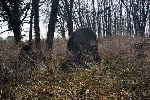 Oostenrijkse Oorlogsbegraafplaats Nr.275 - Brzesko