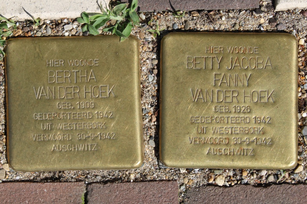 Stolpersteine Wittevrouwensingel 96D #3