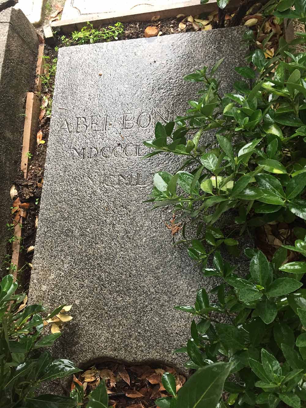 Grave Abel Bonnard