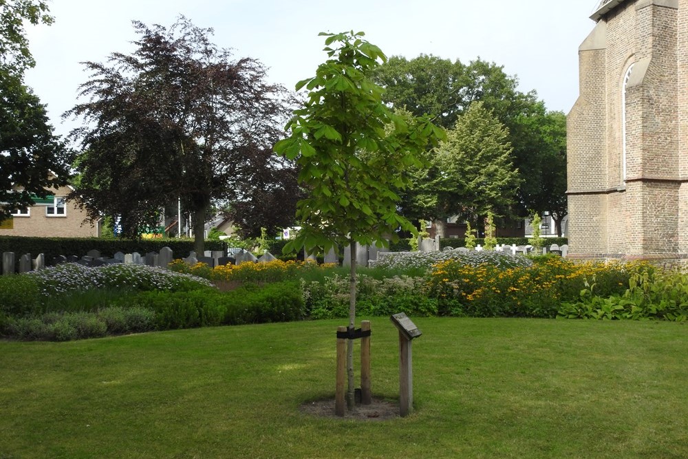 Anne Frank Tree Protestant Churchyard