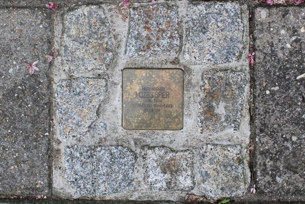 Stolperstein Wilhelminalaan 18 #1