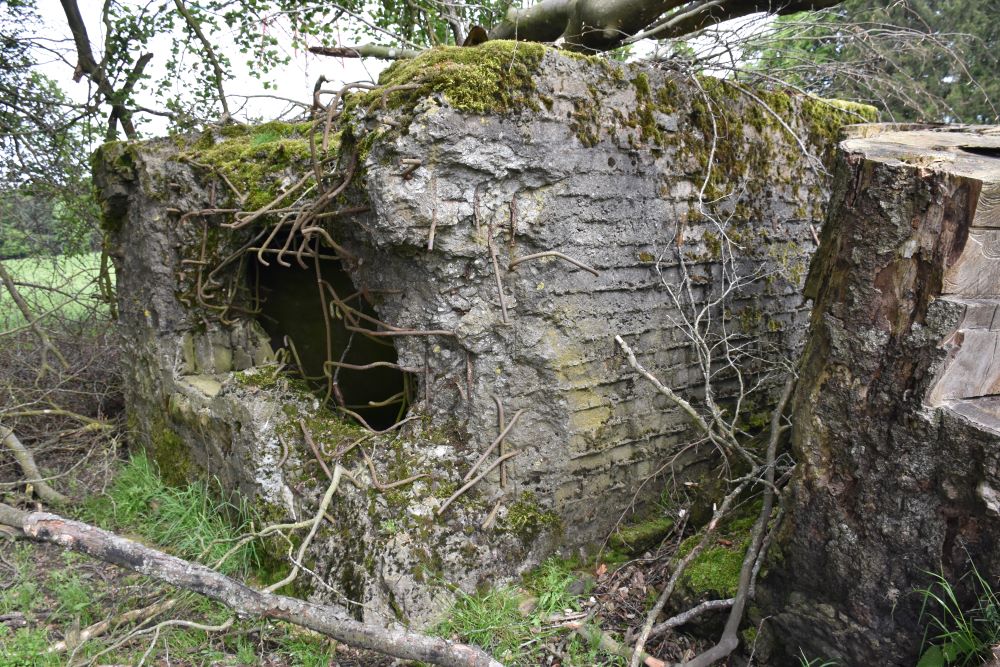 Concrete Defense Structures Devze Line Villeroux #3