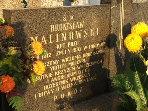 Grave Polish War Veteran