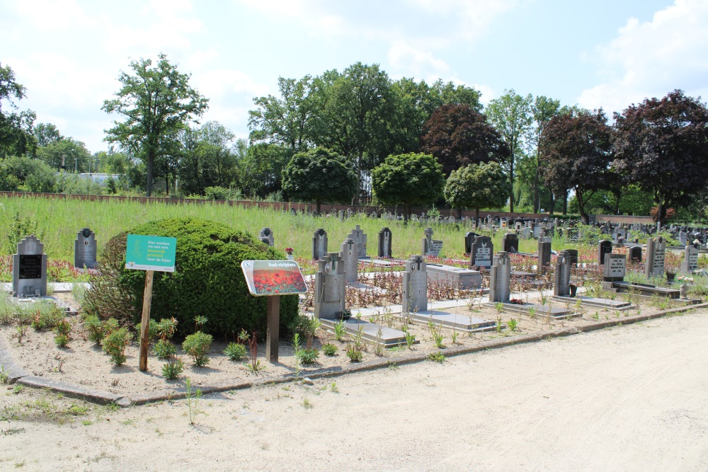 Belgische Graven Oudstrijders Beringen-Mijn