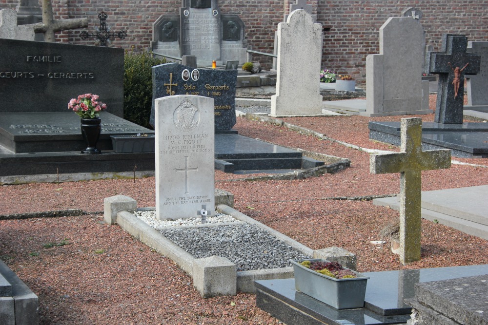 Commonwealth War Grave Veldwezelt