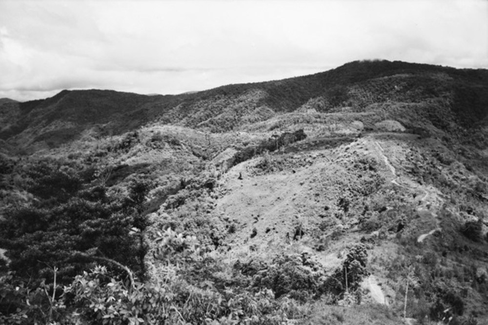 Kokoda Trail - Brigade Hill
