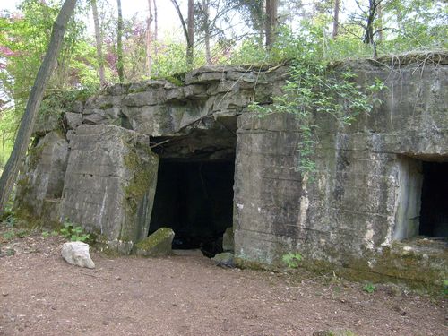 Duitse Bunker Polygoonbos